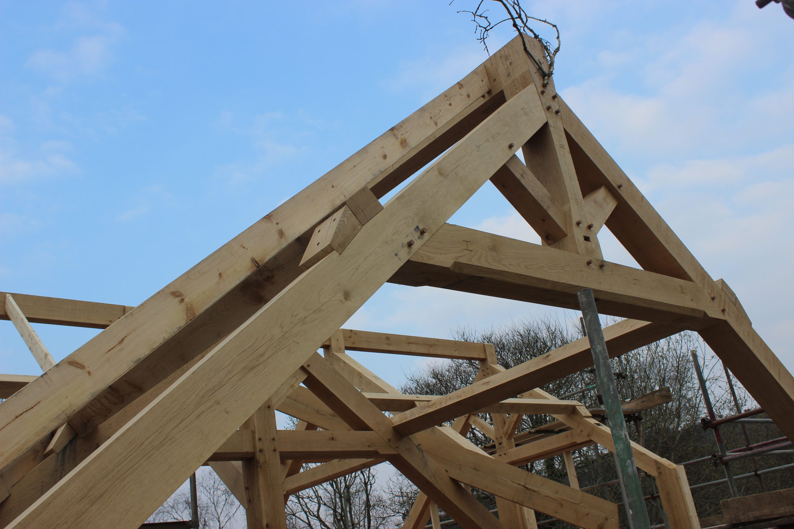 tamar joinery and timber frames house