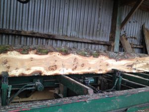 sustainable timber local sawmill bere alston near tavistock on devon and cornwall border