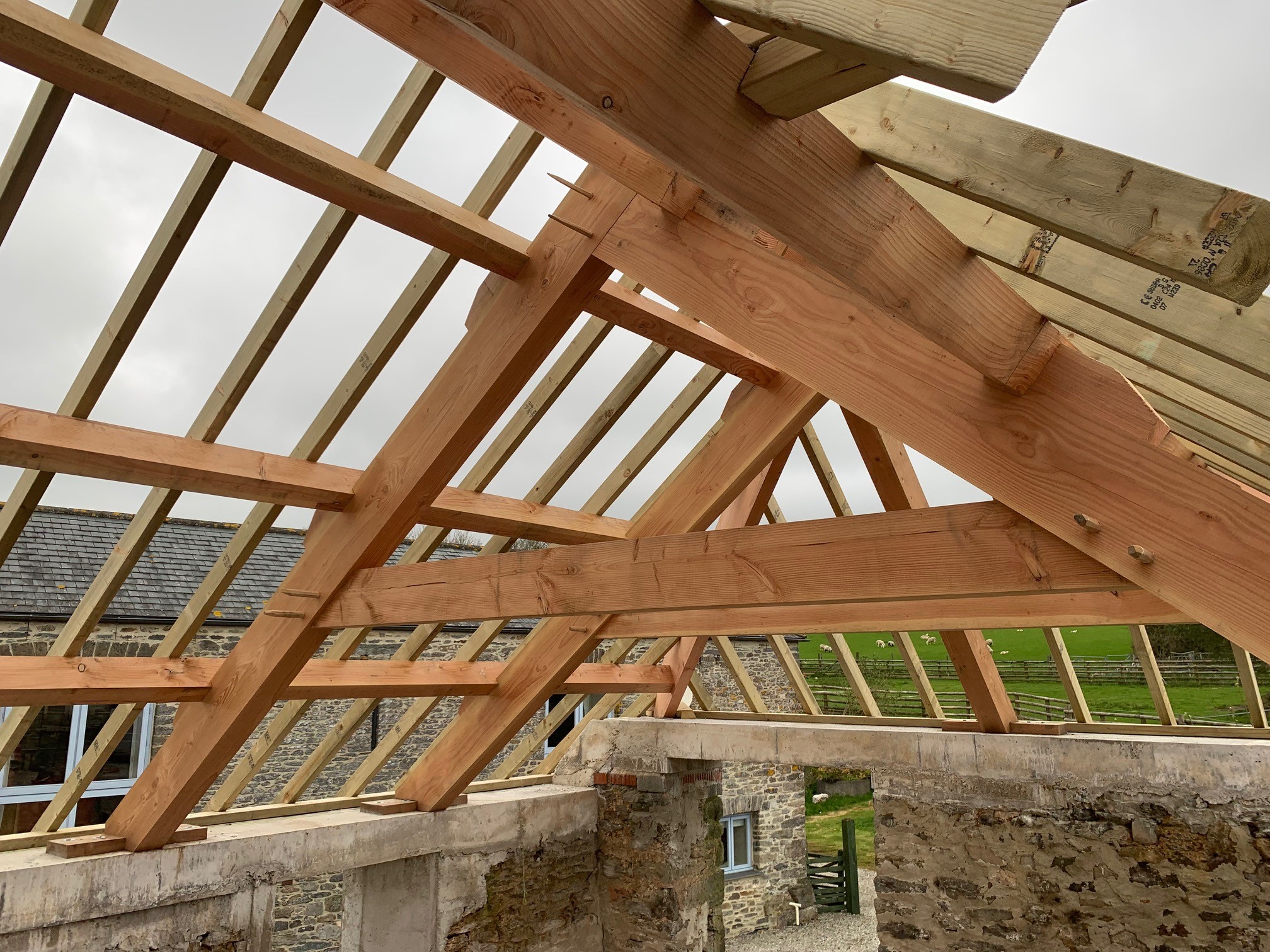 Douglas Fir timber framed roof 